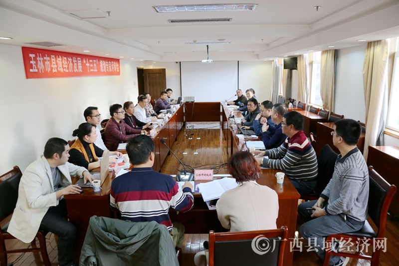 玉林市县域经济发展“十三五”规划通过专家评审