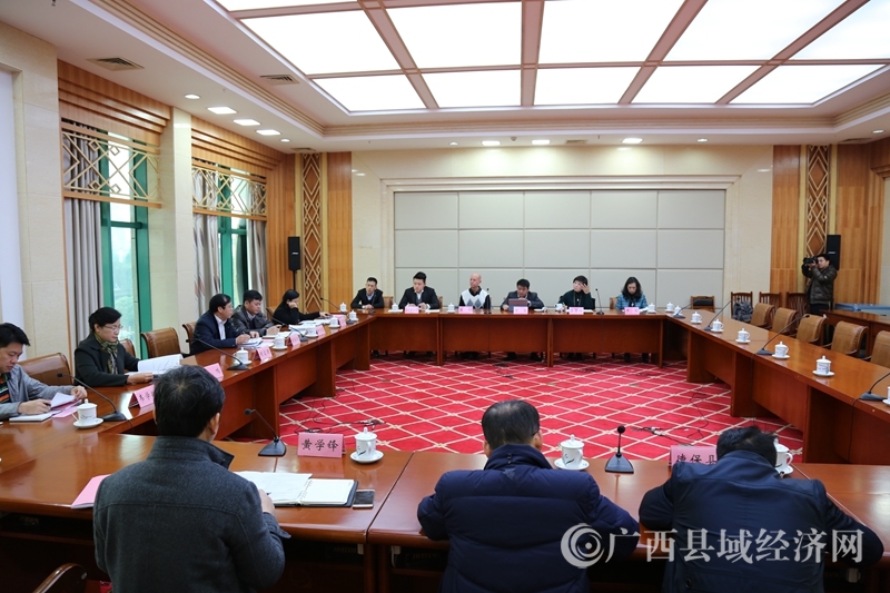 2018年1月15日上午，“乡村文化旅游”讨论组现场