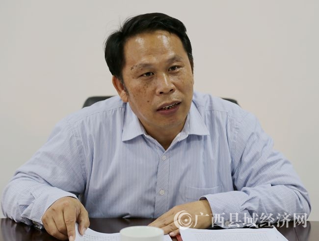 自治区发改委地区处林鸿副处长在会上讲话img_5214 (2)