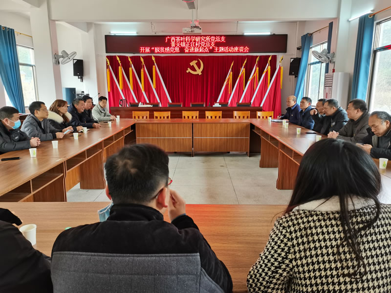 灌阳县：做强茶产业 助推乡村振兴