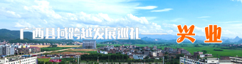 广西县域跨越发展巡礼——兴业
