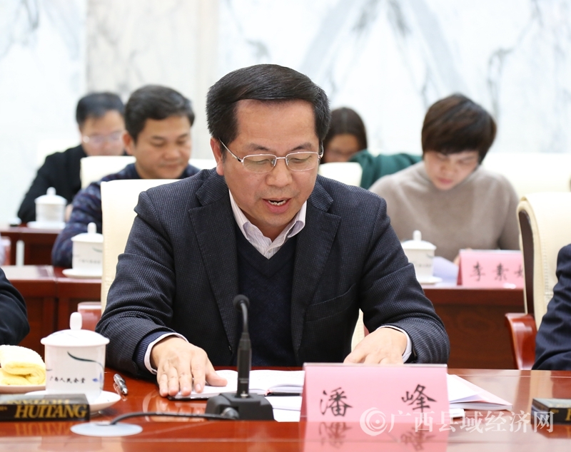 自治区工信委副主任潘峰代表“铝产业及其他特色产业发展”讨论组作建议汇总发言。