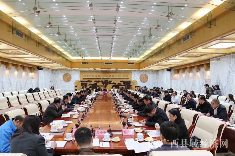 黄品优受邀出席自治区人大常委会召开的“把脉”德保发展专家座谈会