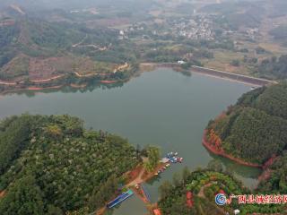 森林公园风景好   元旦游客兴致高