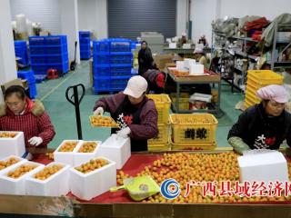 融安县：电子商务拓宽销售渠道