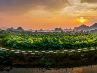 覃塘区:高质量发展夺头魁