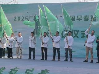 2025广西“中国早春第一茶”系列活动盛大启幕