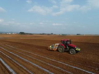 解码广西农机服务集团甘蔗生产全程机械化研究成果转化