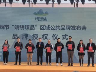 广西靖西发布“靖绣臻品”公共品牌助力乡村振兴