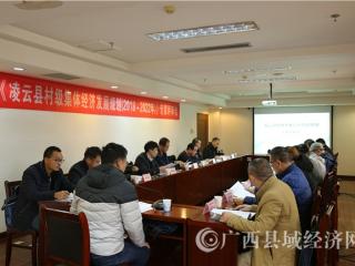 凌云县村级集体经济发展规划通过专家评审