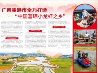 贵港市全力打造“中国富硒小龙虾之乡”