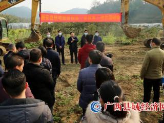 融安县：现场观摩“旱改水”，耕地提质促振兴