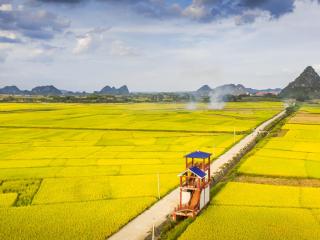 扶绥县：从一穷二白到西部县域经济百强县