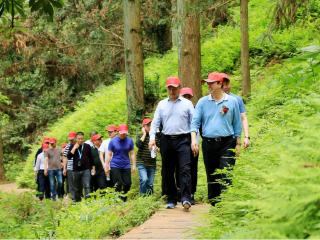 融安县：“十三五”经济社会发展工作纪实