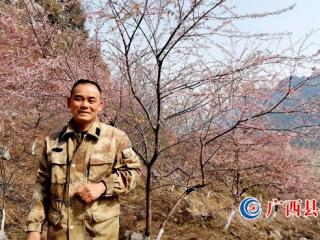 （新春走基层）军转干部覃荣典：拉水抗旱换来樱花满园