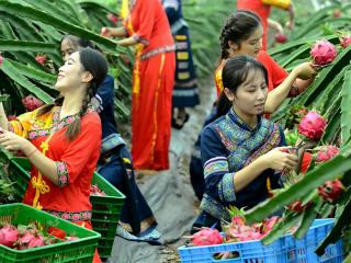 隆安县：获评“2019年度广西高质量发展进步县”