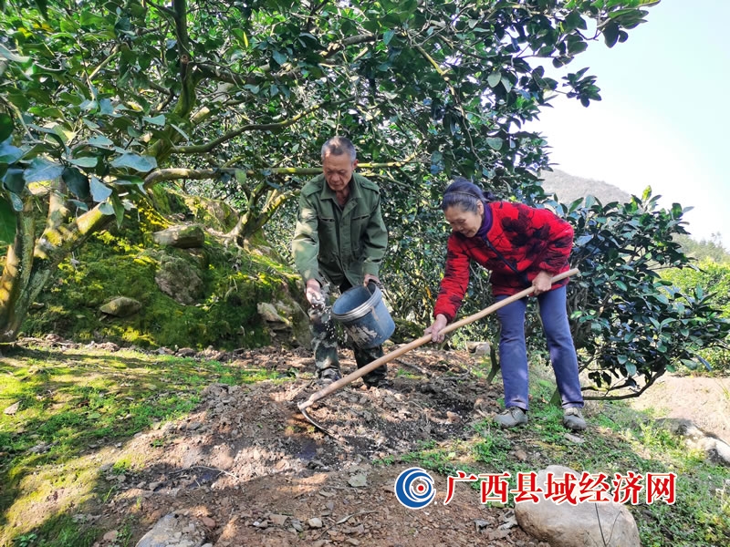 恭城县观音乡:抢抓时机备春耕