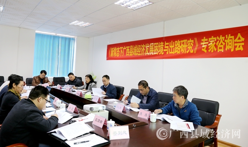 《新常态下广西县域经济发展困境与出路研究》专家咨询会召开