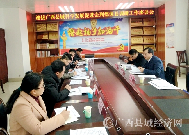 黄品优赴德保县讨论乡村振兴三年行动计划项目工作