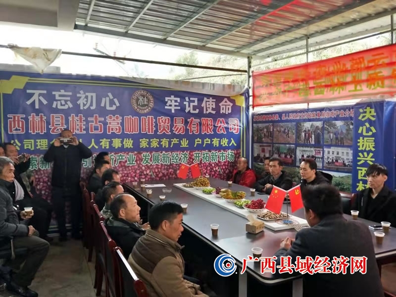 西林县：咖啡种植助力乡村振兴