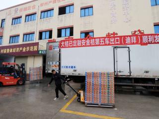 融安金桔出口中东国家