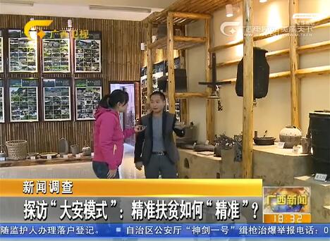 探访“大安模式”:精准扶贫如何“精准”?