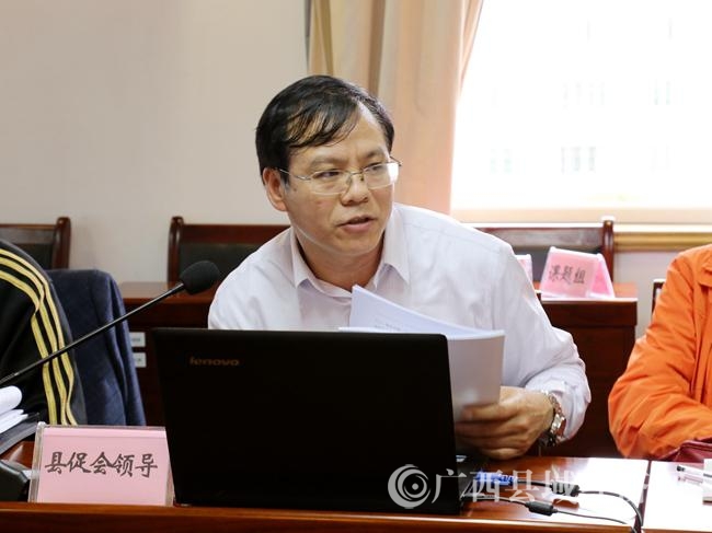 广西县域科学发展促进会副会长兼秘书长黄品优作为编制组代表作规划介绍。