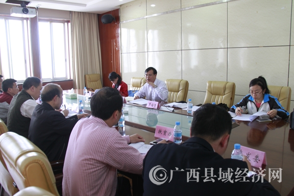 调研组与靖西市干部座谈.jpg