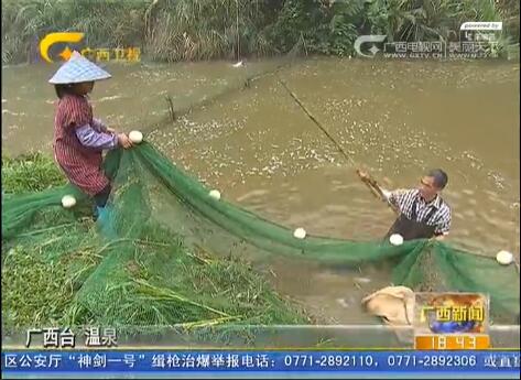 玉林:推进扶贫“四到县” 走出助农增收新路子