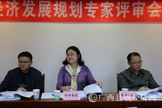 评审组专家在会上发表评审意见