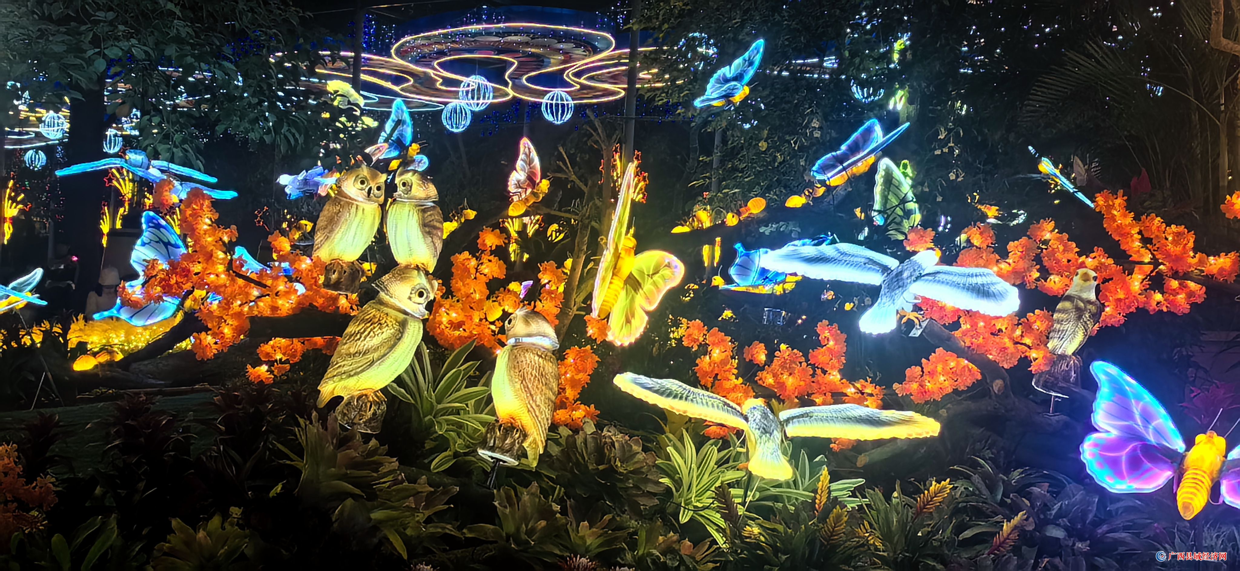 ��ұ���١��ӵ��� ��