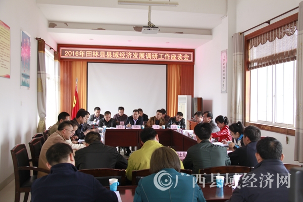 调研组与田林县干部座谈.jpg