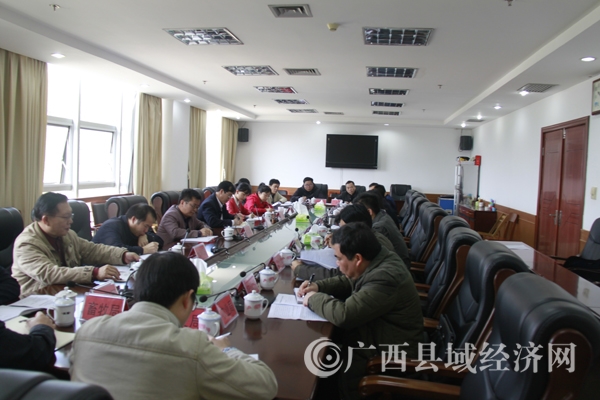 调研组与凭祥市干部座谈.jpg
