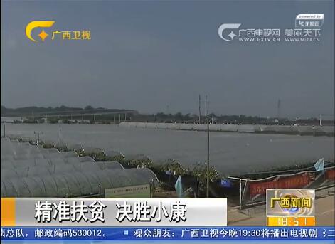 广西启动产业脱贫春季大行动