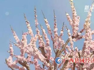 强信心·开新局丨春季旅游消费强势复苏