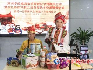 优化营商环境 助推项目建设 激发消费潜力