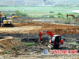 融安县：实施“旱改水”项目助力乡村振兴