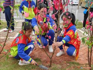 党建结盟共携手  植树添绿我先行