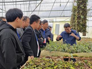 普合苗族乡人大代表赴广南县考察取真经助力乡村振兴