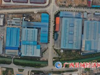 融安县：打造香杉产业聚集效应