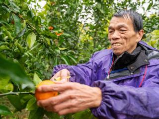 “过上了祖祖辈辈梦寐以求的小康生活”——探访广西河池易地扶贫搬迁群众新生活