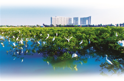 2019年广西自然资源工作会议解读：精准施策重保障 解放思想再发力