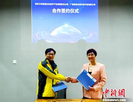 桂林米粉渐成重点产业紧锣密鼓进驻台湾市场