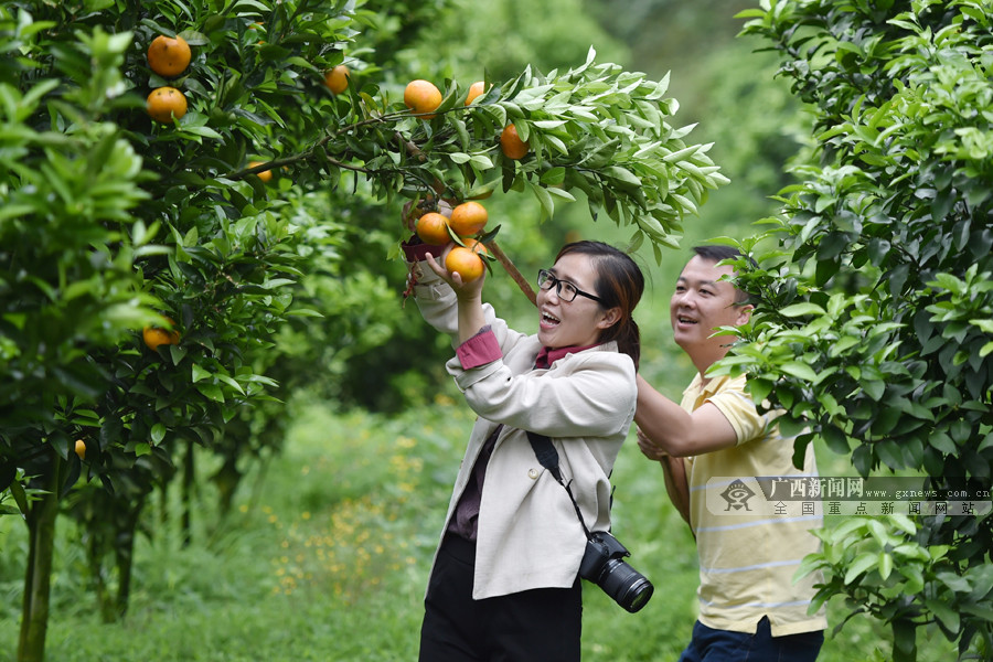 鹿心社一年前去过的首个深度贫困村成功“摘帽”