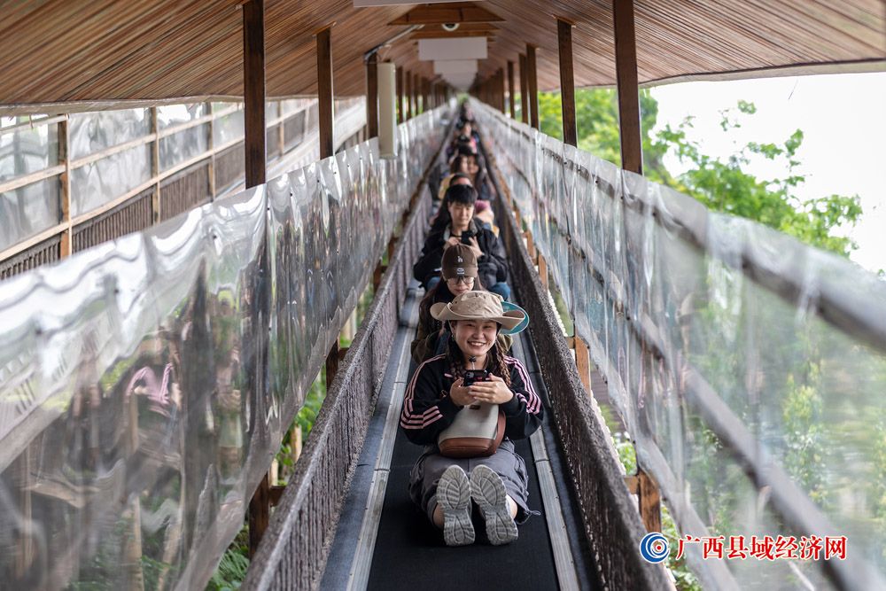 广西德天跨国瀑布景区新地标德天“天空之戒”首发上线