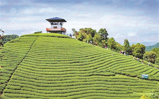 广西旅游:扛起产业责任 决胜脱贫攻坚