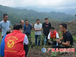 广西金秀县：罗香乡2021年开展油茶栽培现场培训会