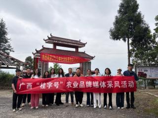“桂字号”农业品牌媒体采风活动走进柳州
