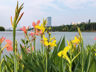 清明假期南宁接待游客160.58万人次  位居广西第一