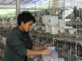 逆袭人生 ——蒙芳真用勤奋演绎脱贫路